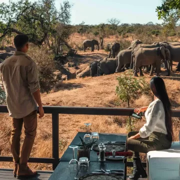 Private Transfer: Kruger 